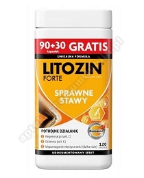 Litozin Forte kaps. 120 kaps. (90+30)